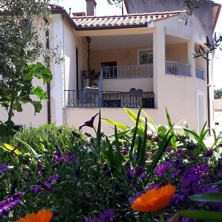 Villa Casa de Santo Antonio Ansião Exterior foto
